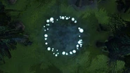 Fairy Ring