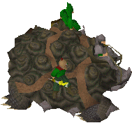 Tortoise old2