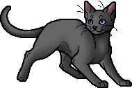 Heathertail.apprentice.alt2
