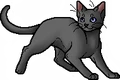 Heathertail.apprentice.alt2