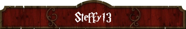 USER bnsteffy13