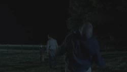 Shane death