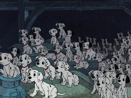 DalmatianPuppies
