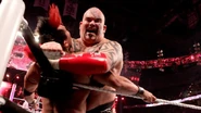 Raw 4.9.12.43