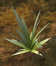 Mender Fern Node