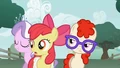 Apple Bloom where did you come from? S1E12.png