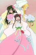 WebPhoto5