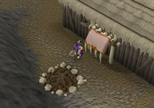 Fur 'n' Seek