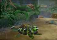 Turtle Woods