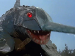 Showa samekujira