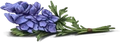Tue-loup.png