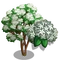 Blackhaw Tree-icon