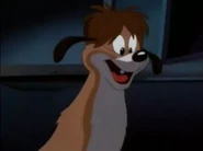 Runt
