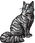 Silverstream.warrior