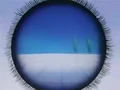 Dbz245(for dbzf.ten.lt) 20120418-17232202