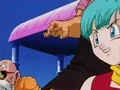 Dbz245(for dbzf.ten.lt) 20120418-17255825