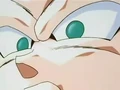 Dbz245(for dbzf.ten.lt) 20120418-17342332