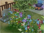 Picture4