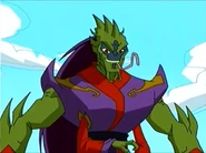 Drago 24