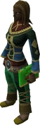 Mages' book (green) equipped