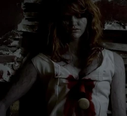 TVD329