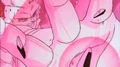 MajinBuuTransforms13