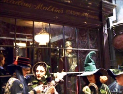 Madame Malkin negozio
