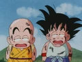 GokuGKrillin7