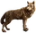 HO KipStudy Wolf-icon