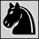 Bknight2