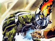 Chelonian Body Bank