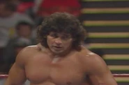 Battle Royal 1991.7