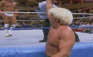 Battle Royal 1991.10