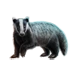 Item eurasianbadger 01