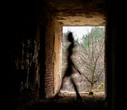 Shadow-people
