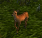 FawnWP
