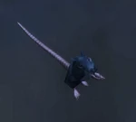 RatWP