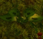 SwampMothWP