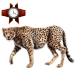 Item iraniancheetah 01