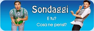 Sondaggi banner.png