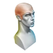 Bald Cap