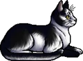 Patchpelt.elder