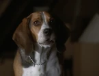 6x01-27
