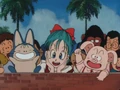 BulmagOolongPuar