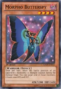 MorphoButterspy-GAOV-EN-C-1E