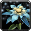 Inv misc herb snowlily.png