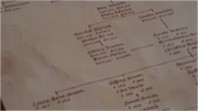 Charmedtree3