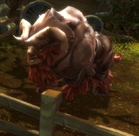 Auroch