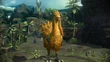 ChocoboinNewBodhum3F