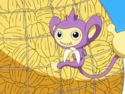 Ash Aipom bananas